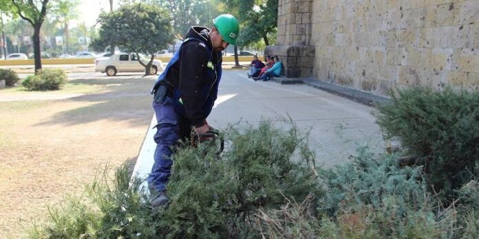 arbol-navidad-678
