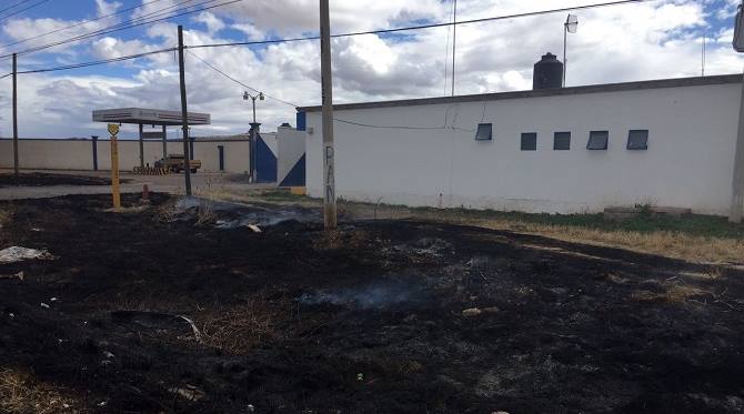 fuego gas campanita 2