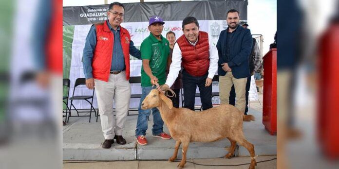 apoyos-alimentarios-1-d41
