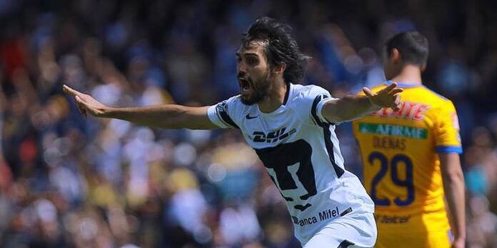 pumas-fad