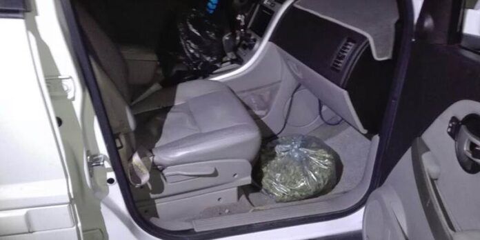 marihuana-nochistlan-1-7c7