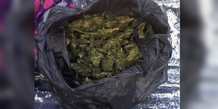 marihuana-7a2