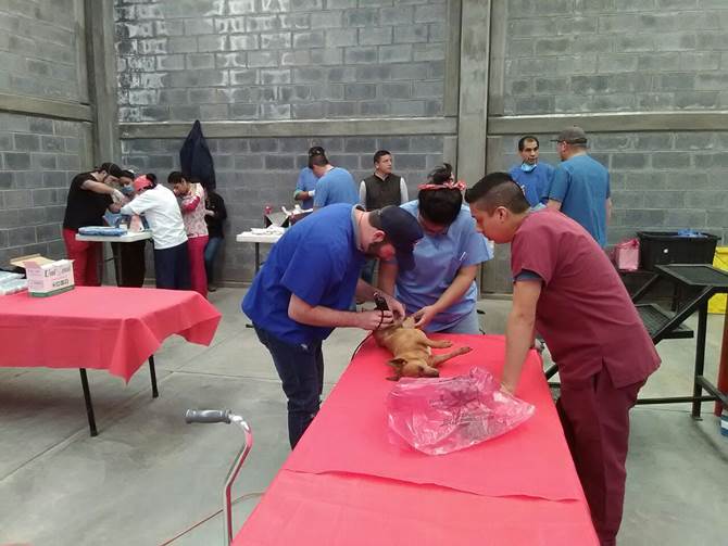 esterilizacion 2