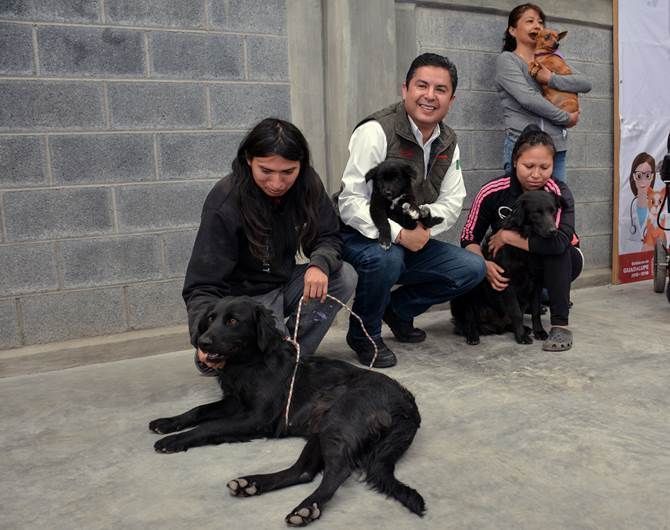 esterilizacion