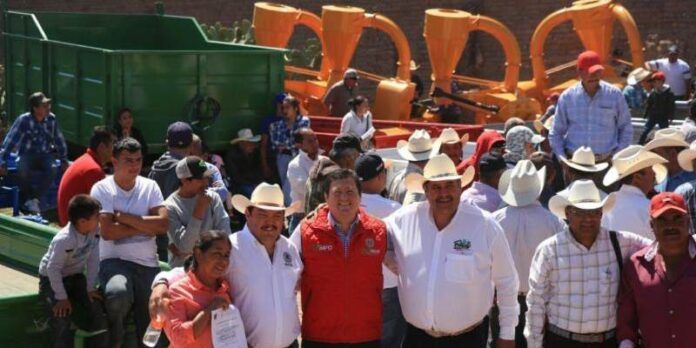 productores-pinos-c80