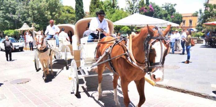 paseos-carreta-1-a3b