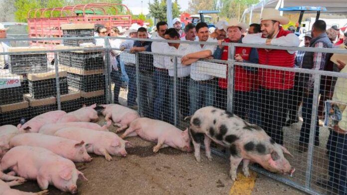 apoyos-campo-84f