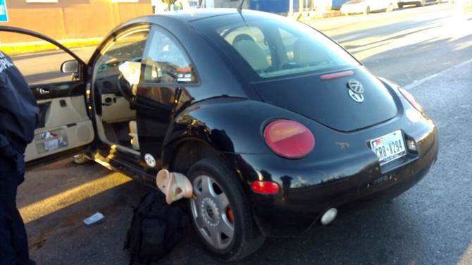 beetle 1