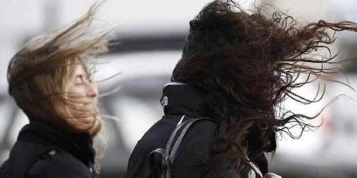 viento-a67