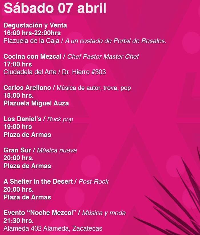 festival mezcal 4