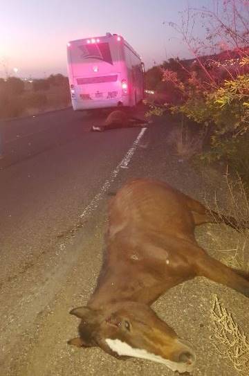4caballos 2