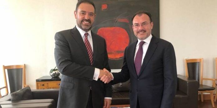 tello-videgaray-538