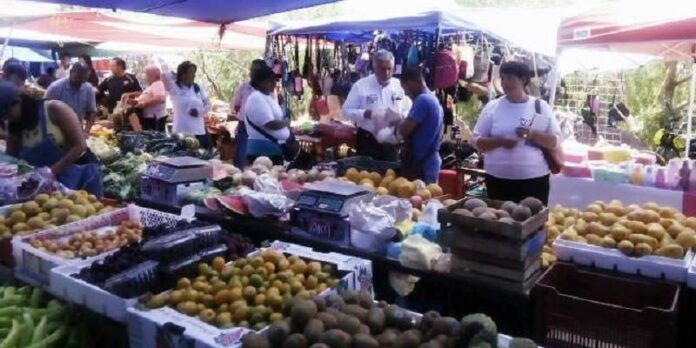 narro-tianguis-da0
