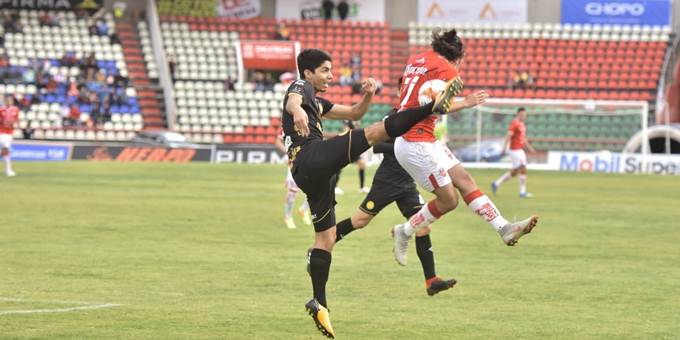 dorados 7