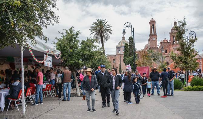 verbena guadalupe 2