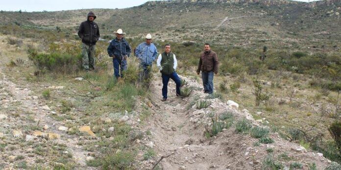 reforestacion-1ba