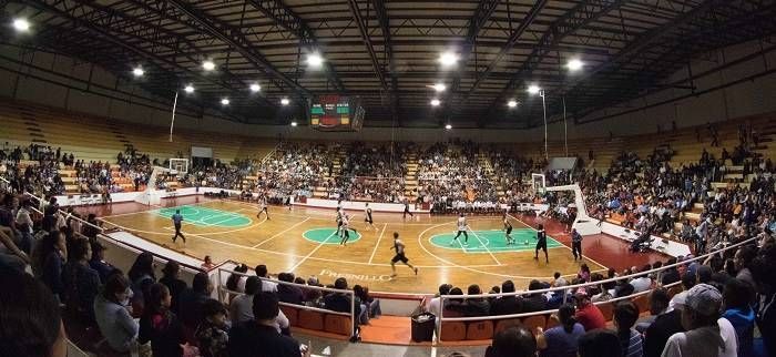 panteras mineros 3