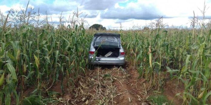 vehiculos-1-079