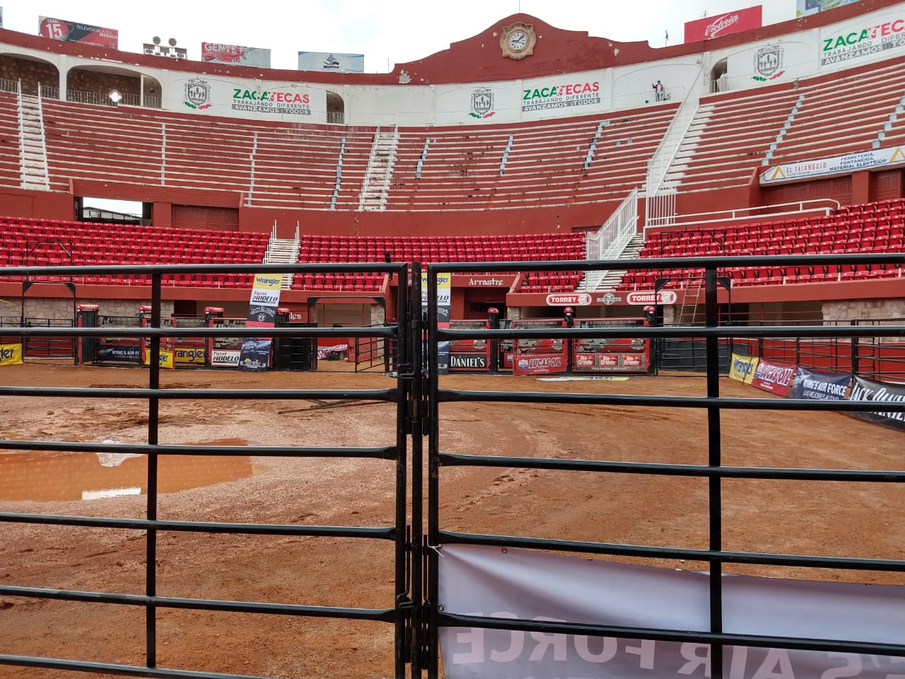 rodeo pbr 2