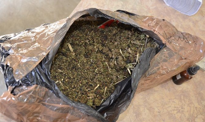 incineran narcoticos 2