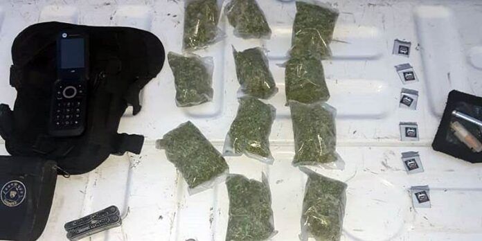 marihuana-guadalupe-d26