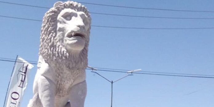 fresnillo-club-leones_2-fec
