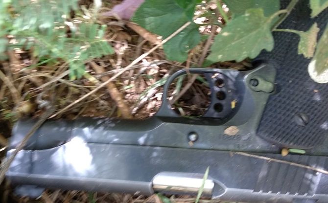 guadalupe arma