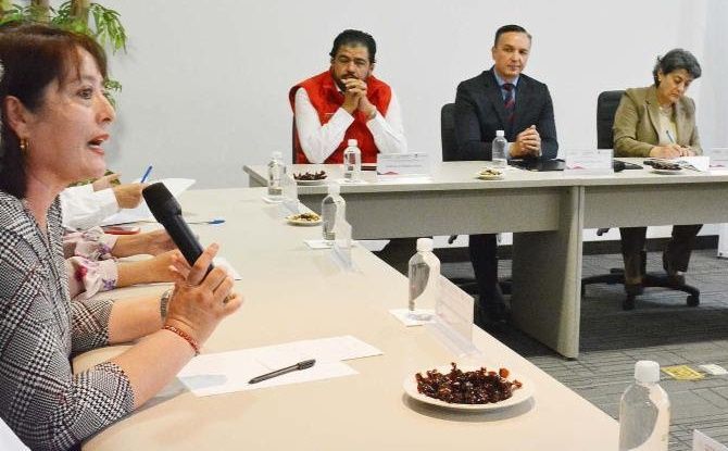 participacion ciudadana tello 1
