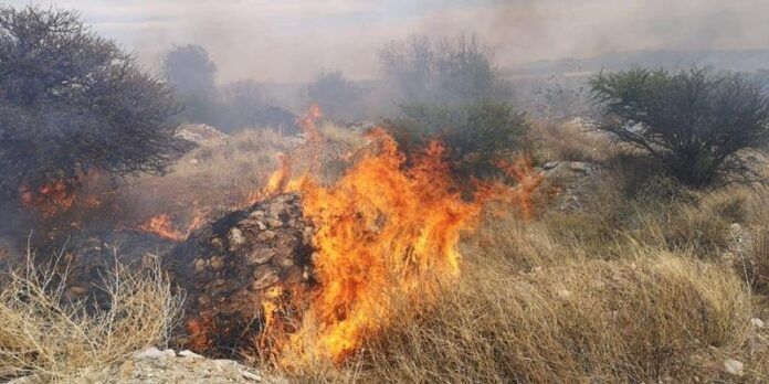 incendio-guadalupe-fb3