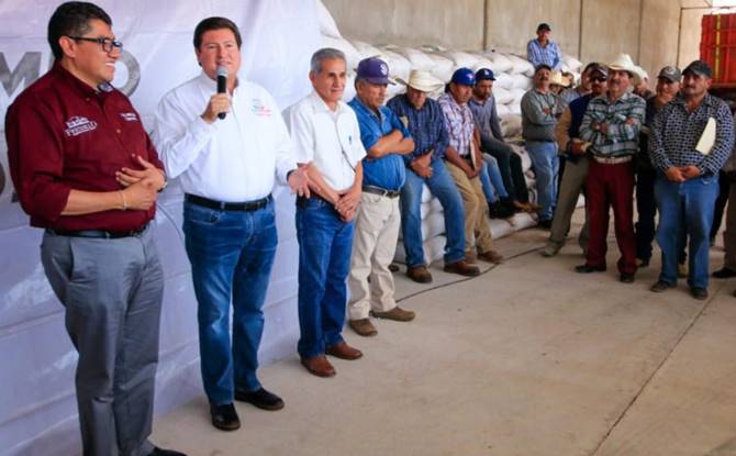 campo sader 2