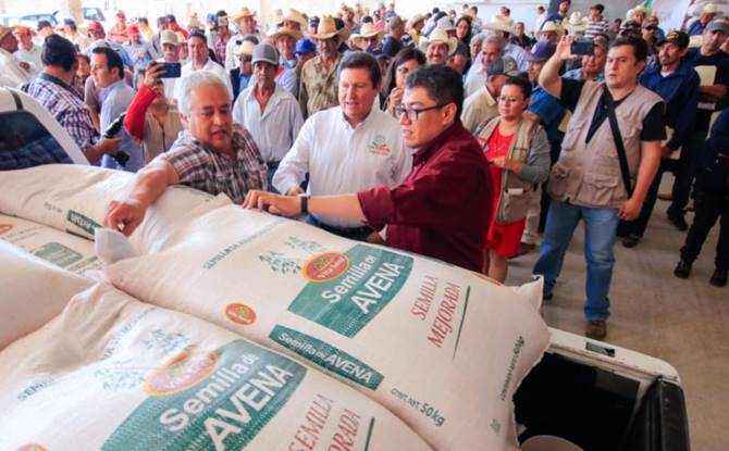 campo sader 3