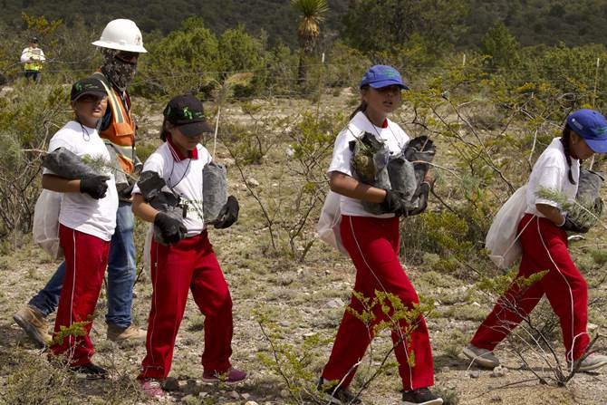 reforestacion 4