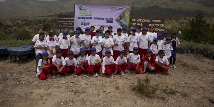 reforestacion-5-fd1