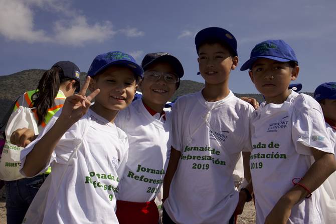 reforestacion