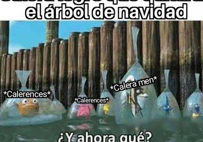 memes 1