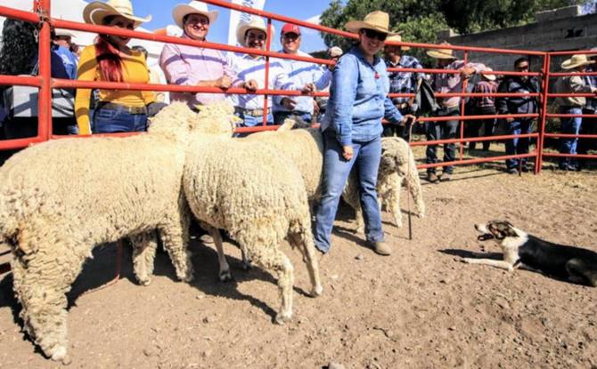 campo 1