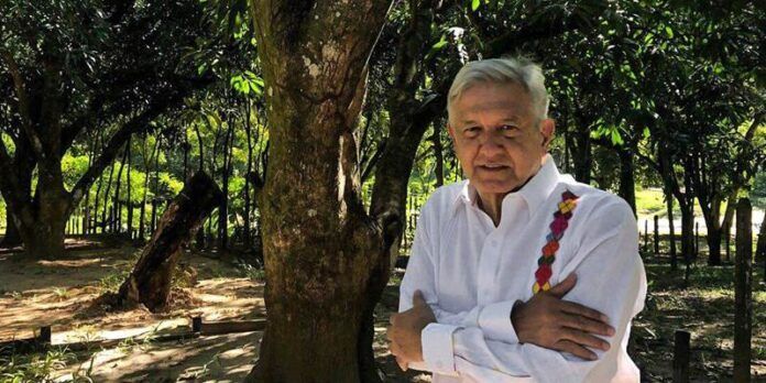 amlo-1-0f5