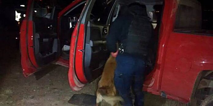 detenido-aguascalientes-1-352