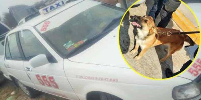 taxi-droga-094