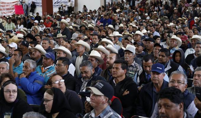 amlo 3