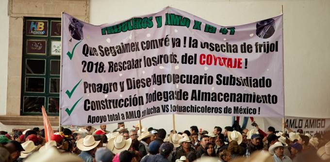 amlo 6