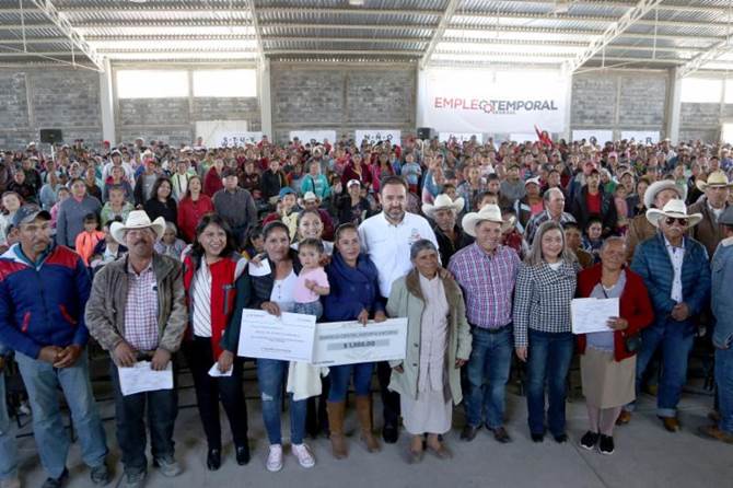 pinos 3