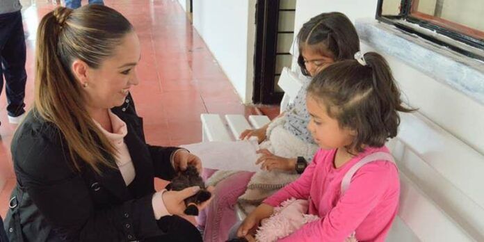 donacion-cabello-c6c