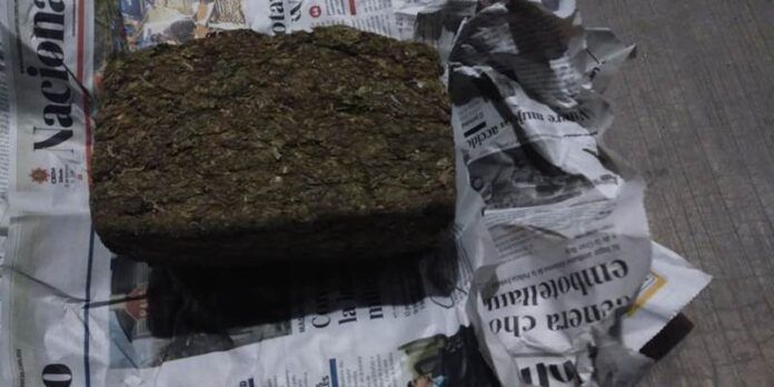 marihuana-zacatecas-372