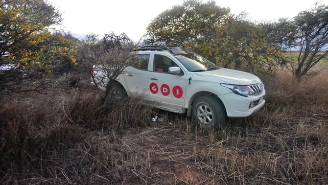 vehiculos robados detenido