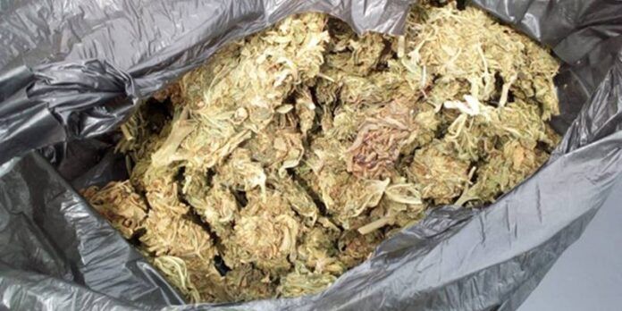 marihuana-6a5