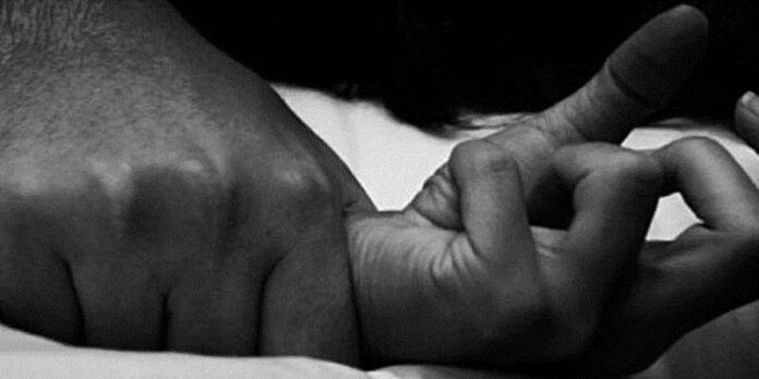 violacion-d04