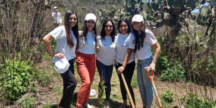 reforestacion-bda