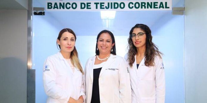 tejido-corneal_1-900