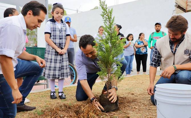 reforestacion 1
